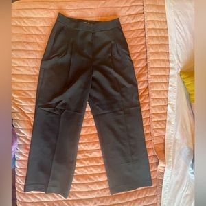 Express Super High Waisted Pleated Wide Leg Pant